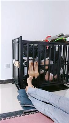 五公主囚禁狗笼陪主人直播 JS241012-4