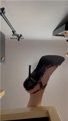 小x大王蚂蚁视角 JS240811-20