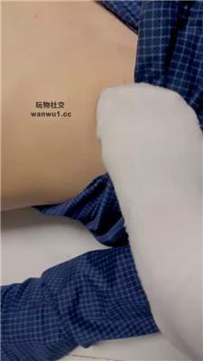 甜一麦昆脏鞋-驯化狗舌头 bf43586