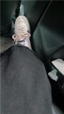 芝芝女王车内让狗舔脏鞋臭脚 JS241023-14