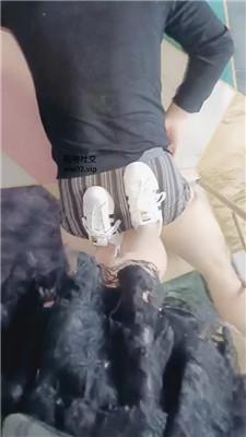 美柠裸足狂舔/贝壳头踩踏 JS241103-22