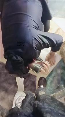 美柠皮鞋白丝踩虐气味辱 JS241103-6