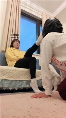 璋爷双S-骑狗背重度sp/掐乳/舔裸足白袜jio双视角版JS241101-8