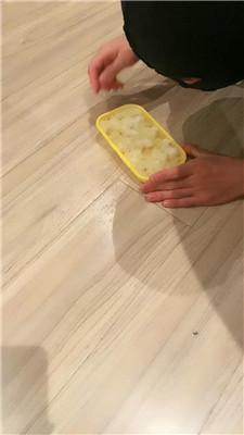 魅儿脚垫的奖励-圣水泡饭喂食 bf46305