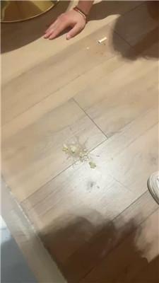 橘子没熟掐乳/小白鞋白袜踩/踢踹/数据线鞭打 JS241027-5