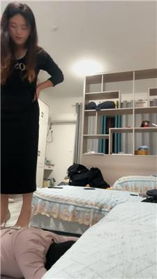 子熙大人小狗就爱当坐垫 JS241027-26