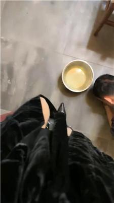 沅芷大人真狗粮就是你的晚餐 JS241027-6