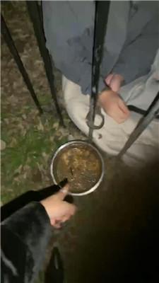 沅芷大人真狗粮就是你的晚餐 JS241027-6