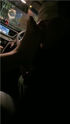 丽娜车内让狗舔肉丝jio JS241025-13