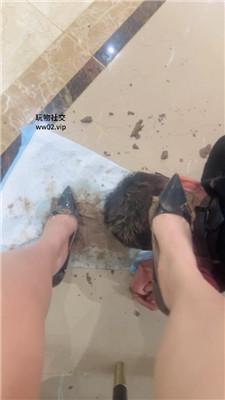 Joy捆绑-清理超脏泥巴鞋底/中指鄙视 JS241112-24