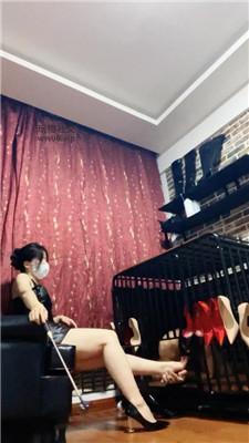 冷颜狗笼囚禁/舔多双高跟 JS241130-7