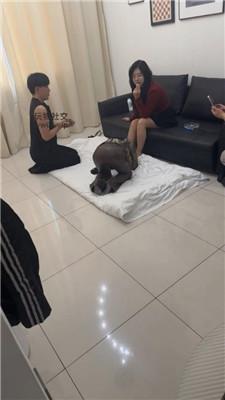 安小喵情侣奴下跪舔脚/奴下奴踩踏/骑马双视角版 bf47922