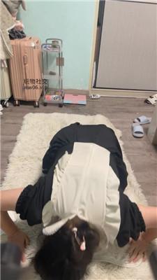 白兔翻车场-打哭母畜 JS241213-24