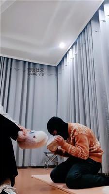 拽拽跪舔脏毛拖鞋棉袜/踩踏 JS241212-31