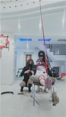 媚娘工作室双S-捆绑强制虐小三母狗 JS241212-17