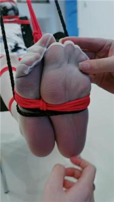 媚娘工作室双S-捆绑强制虐小三母狗 JS241212-17