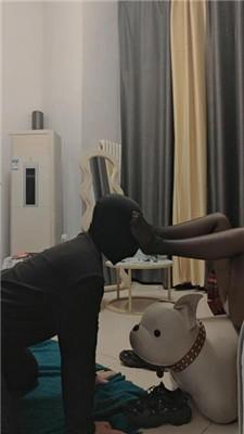 陶拉大人JK小姐姐-黑丝玉足踩/连环耳光狂抽 JS241212-13