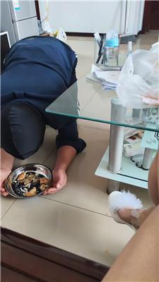潍坊诗诗圈养家奴下跪伺候 JS241222-2