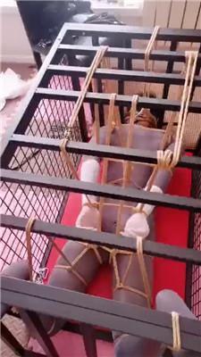 妃妃五花大绑囚禁狗奴才下 JS241222-12