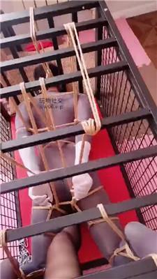 妃妃五花大绑囚禁狗奴才下 JS241222-12
