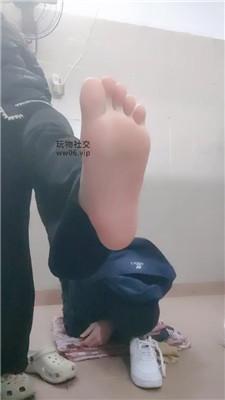 奇了怪了原味鞋袜羞辱发骚奴 JS241217-11