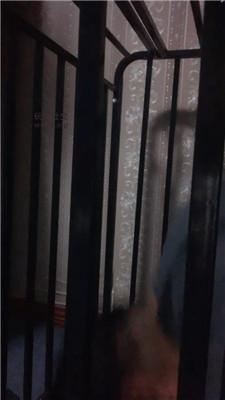 玩物第一贱狗笼圈养舔脚 JS241216-37