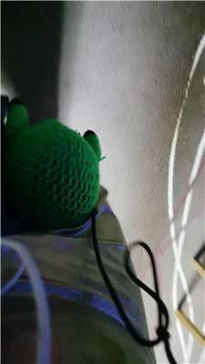 滢滢双S-狗笼圈养彻底犬化双视角版 JS250101-9