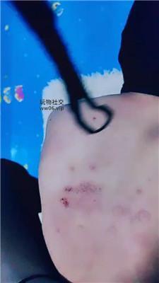 山兔莓骑马/全体踩踏 JS241231-18