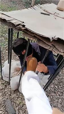 龙刖别墅户外彻底犬化专场双视角版 JS241230-49