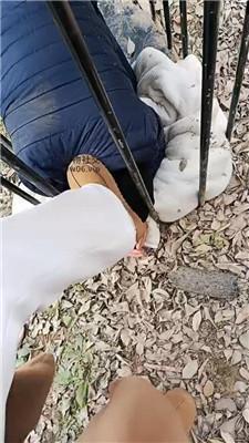 龙刖别墅户外彻底犬化专场双视角版 JS241230-49