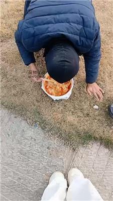 龙刖别墅户外彻底犬化专场双视角版 JS241230-49