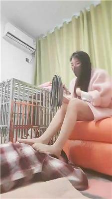 于少奶奶肉丝脚踩虐/散鞭抽打 JS241229-4