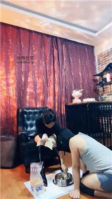 冷颜圈养狗笼/狗盆喂圣水 JS241227-5