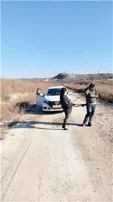 沐颜户外奴隶拉人力车/重度虐打双视角版JS250107-30