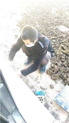 银南女帝狗链遛狗犬化 JS250106-20