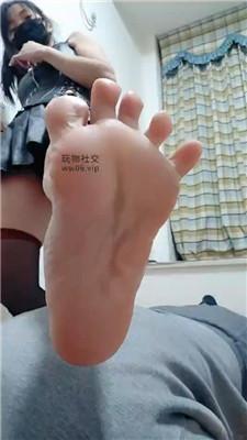 思纯骑狗背/黑丝高跟踩虐 bf49042