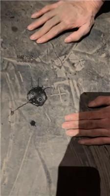 七七小主3S深夜户外调-脏鞋爱好者必入! bf48988