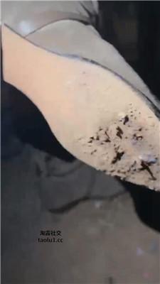 沅芷大人绑树上耳光踢踹吃泥巴 JS250116-1