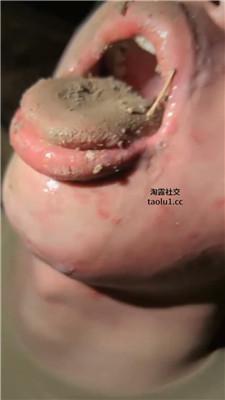 沅芷大人绑树上耳光踢踹吃泥巴 JS250116-1