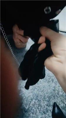 璀璨女王高跟长靴踩虐/滴蜡 JS250114-7