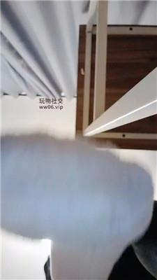 上海汤圆红灯白袜 250123-20