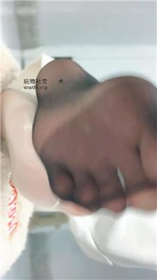 乔乔在这里锁奴羞辱设鲸 250123-15