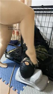 霖心囚禁狗笼彻底犬化 JS250122-26