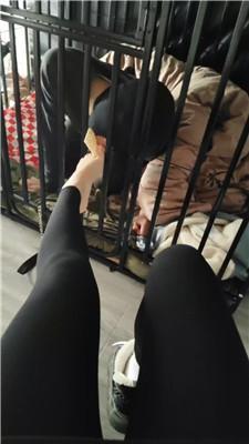 宝宝大大囚禁狗笼彻底犬化 JS250122-9