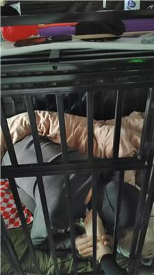 宝宝大大囚禁狗笼彻底犬化 JS250122-9