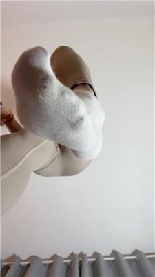 捷西瑜伽裤灯 250118-16