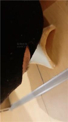 玉主子休闲鞋黑丝踩/脚下喂食 JS250120-8