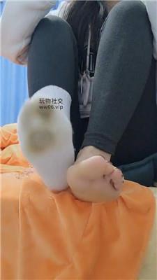 沅S贱狗进来吃主人臭袜子 250130-28