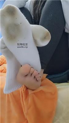 沅S贱狗进来吃主人臭袜子 250130-28