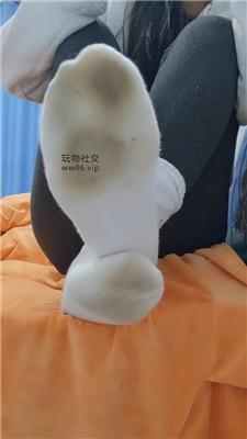 沅S贱狗进来吃主人臭袜子 250130-28